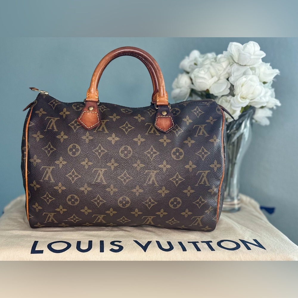 Louis Vuitton Brown Monogram Bag